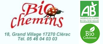 Biochemins26